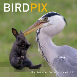 Birdpix 3 - De beste foto's